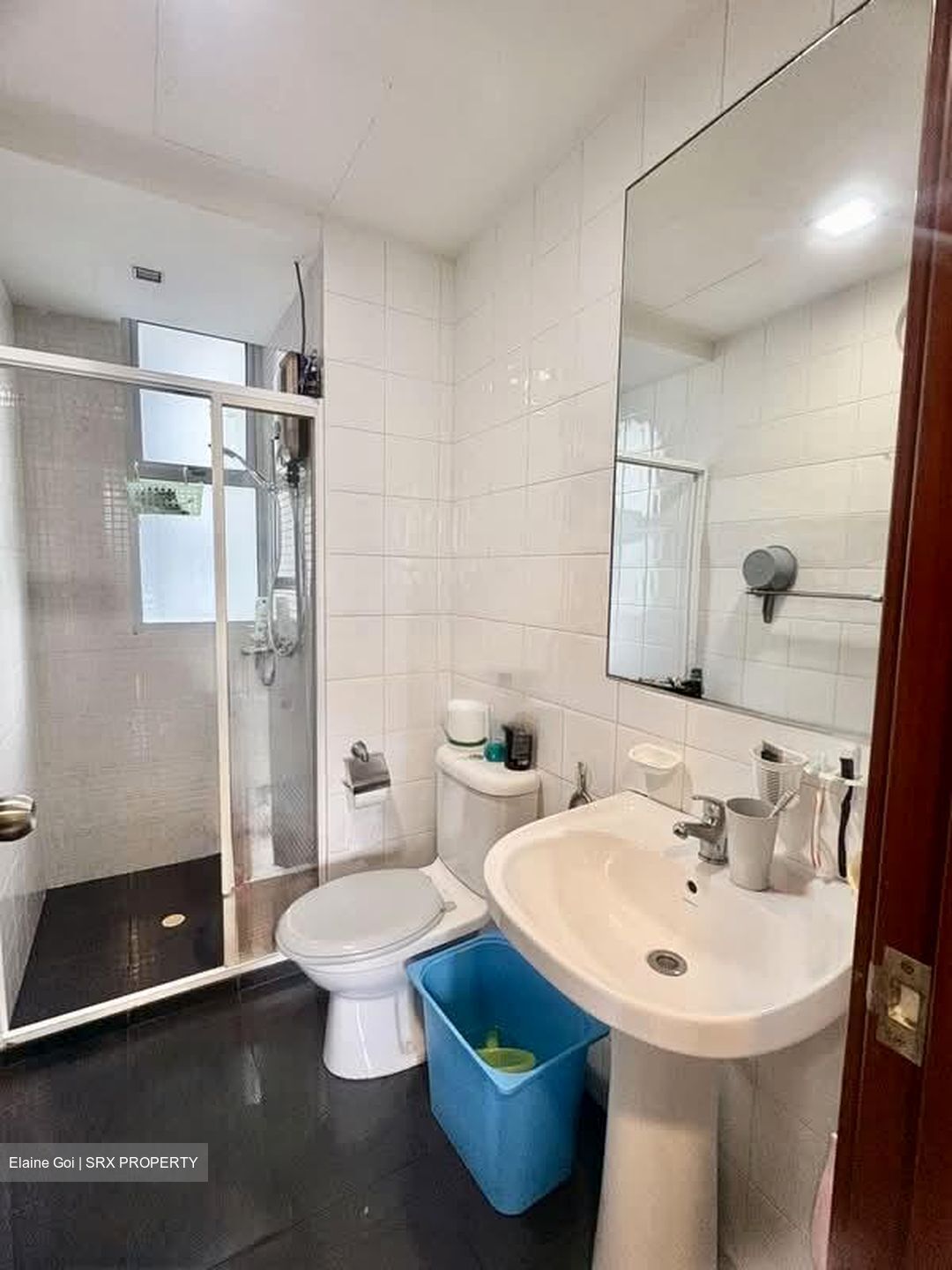 The Eden At Tampines (D18), Condominium #582941151